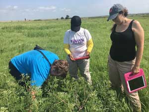 Teachers explore a prairie