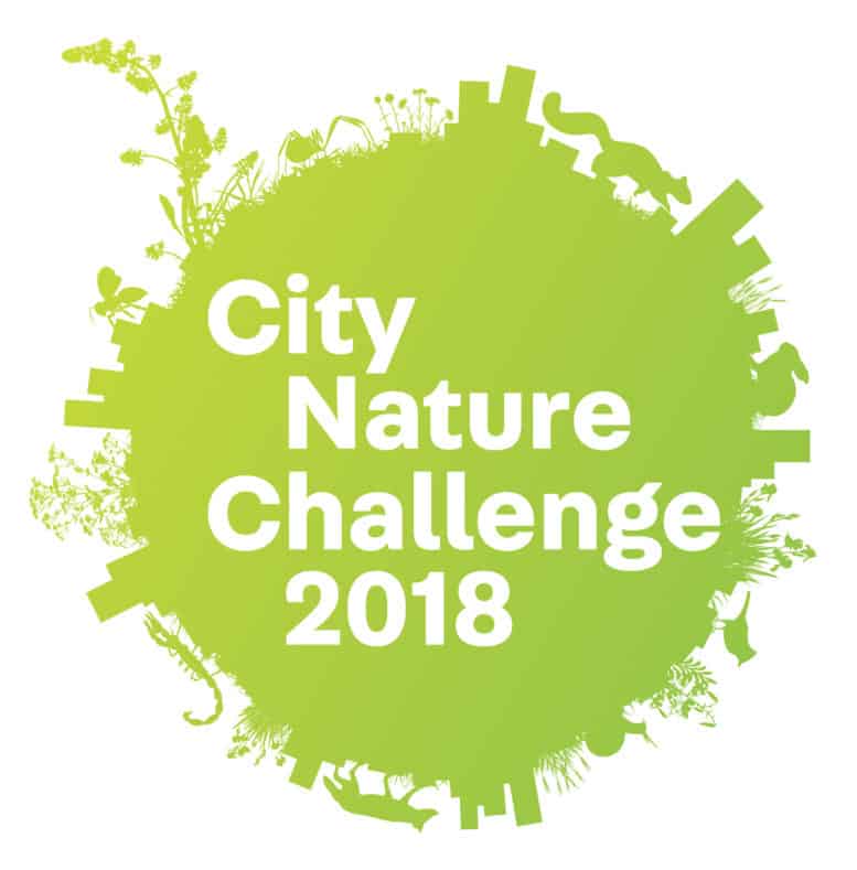 City Nature Challenge 2018